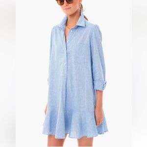 Tuckernuck Chambray Blue Button-Front Mini Dress